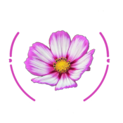 Terrans Embroidery Logo Dark Theme